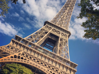 Eiffel Tower Picture