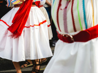 Berlin Carnival Picture