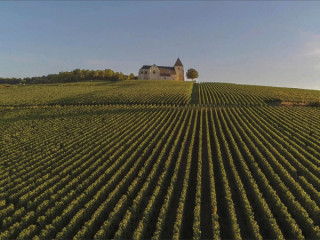 Veuve Clicquot Tour Picture