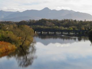 Puck Fair Picture